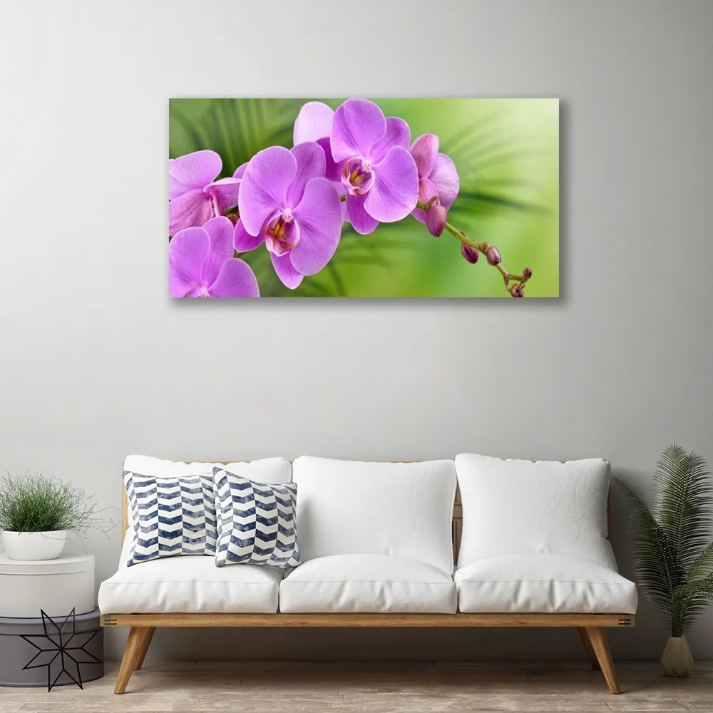 Foto quadro su tela Orchidea Fiori di orchidea 100x50 cm