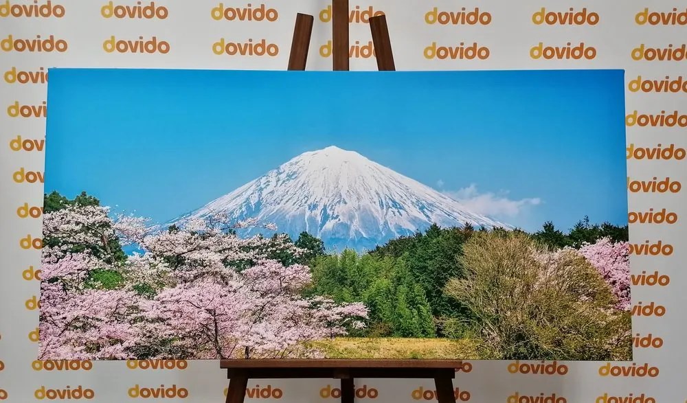 Quadro su tela – Monte Fuji