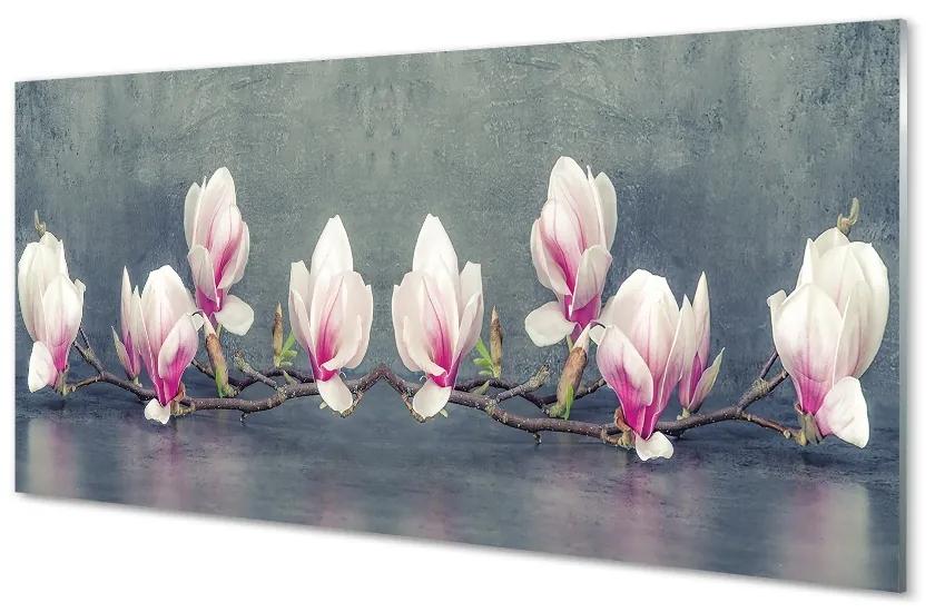 Quadro di vetro Filiale magnolia 100x50 cm