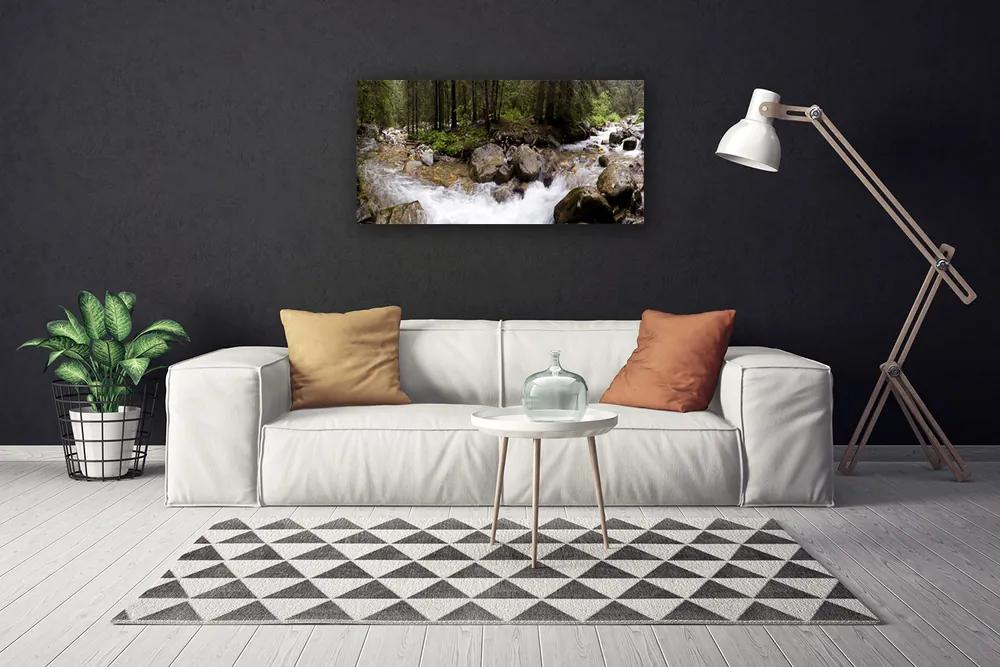 Stampa quadro su tela Foresta, fiume, cascate 100x50 cm