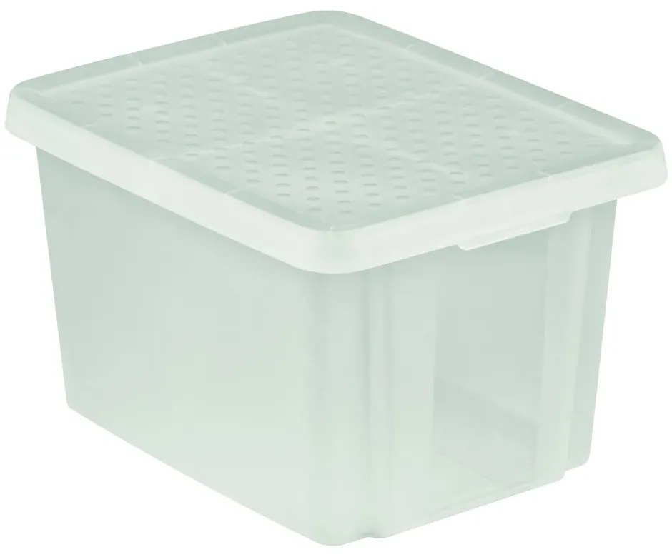 Cassetta di stoccaggio con coperchio , 26 l Essentials - Curver