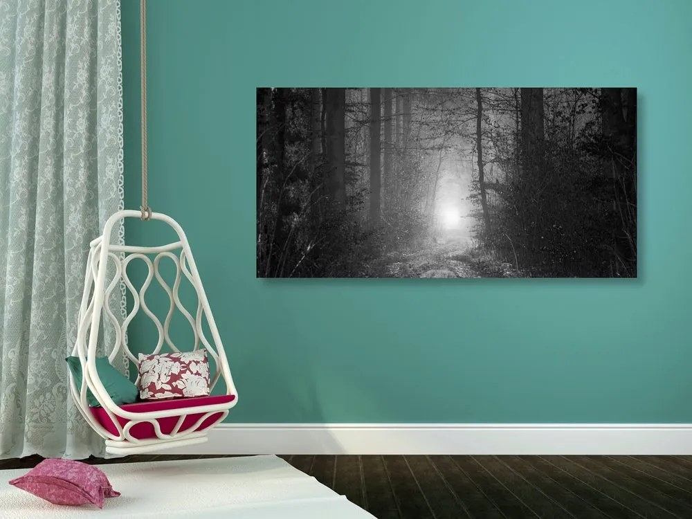 Quadro su tela – Luce nella foresta in bianco e nero