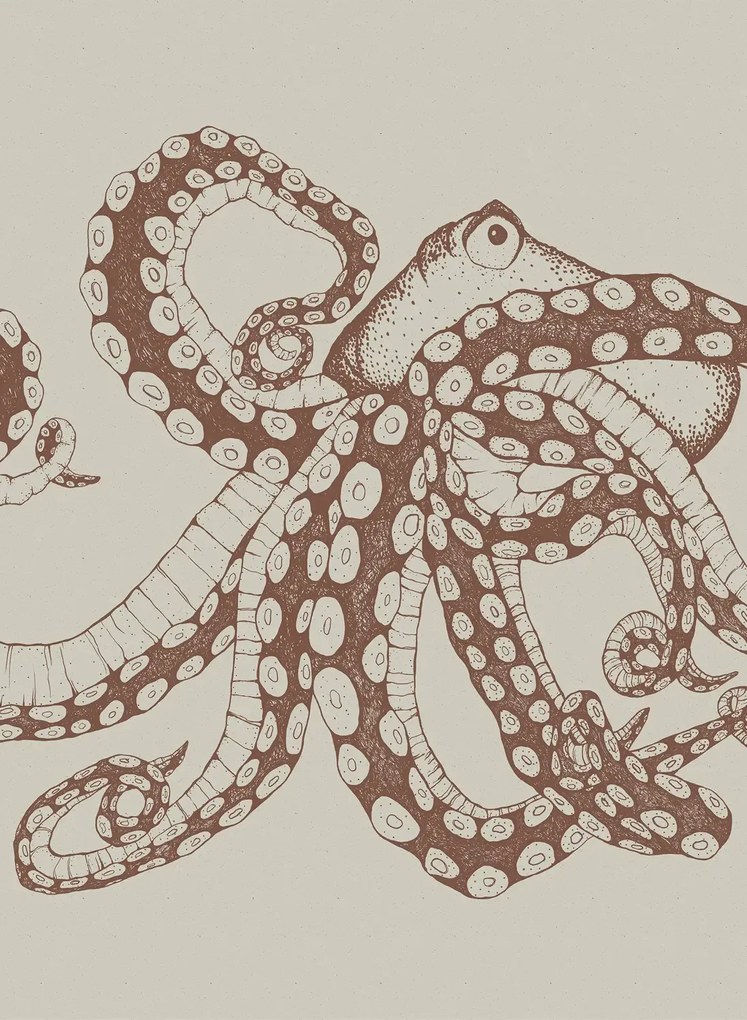 Coordonne Carta da parati panoramica Octopus X-Ray - Papirus
