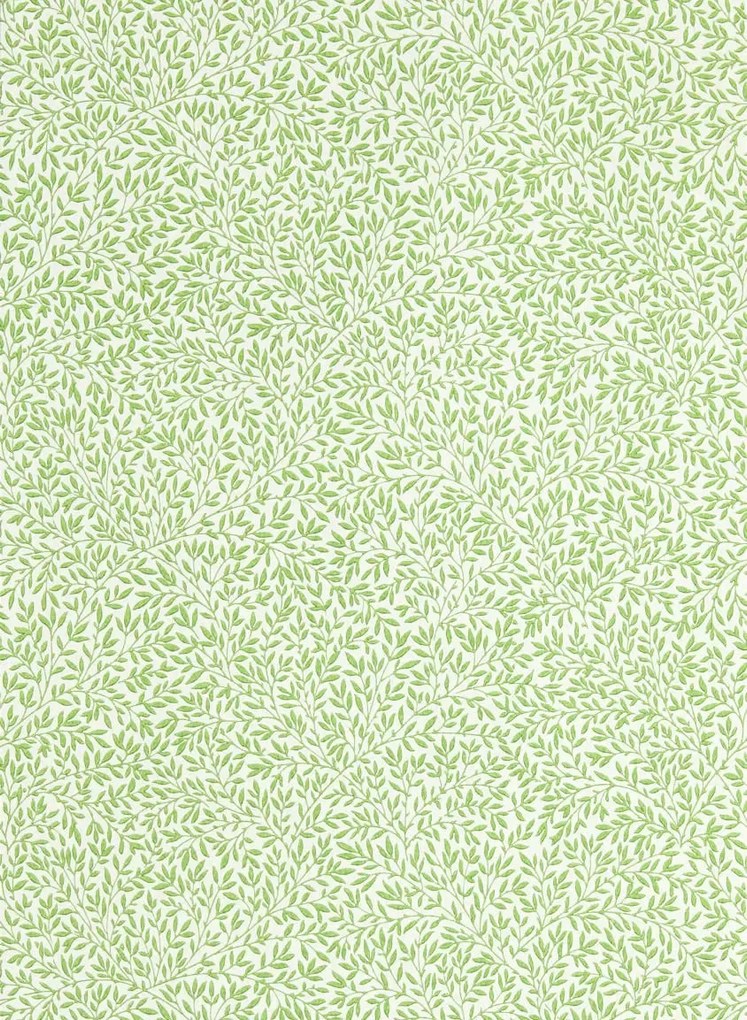 Morris & Co Carta da parati Standen - Leaf Green