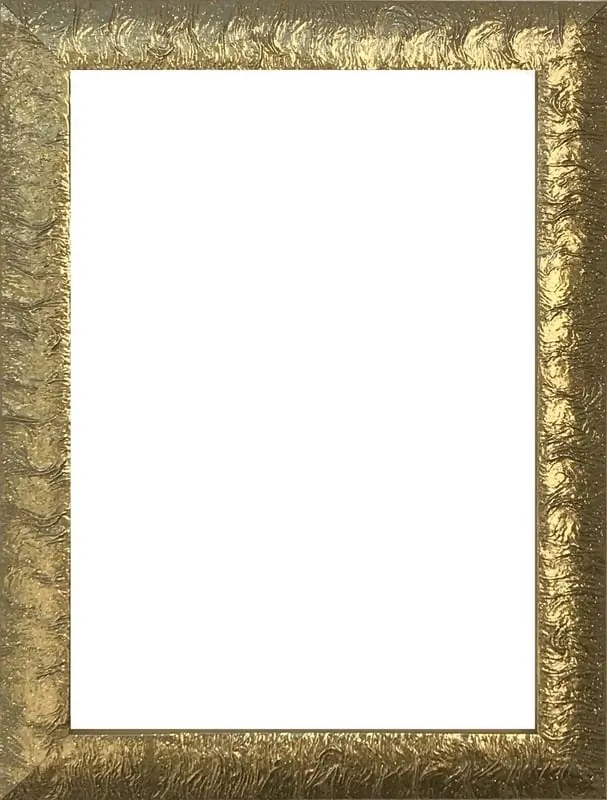 Cornice INSPIRE Chantal oro lucido per foto da 61x91 cm