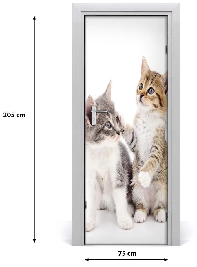 Adesivo per porta Due piccoli gatti 75x205 cm