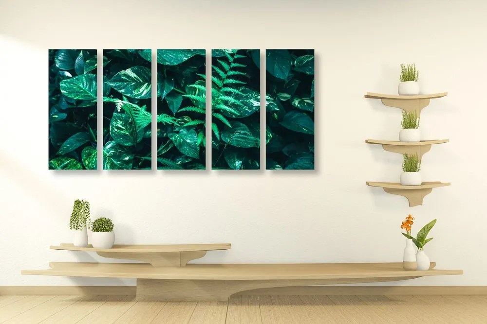 Quadri 5 pezzi – Foglie tropicali fresche