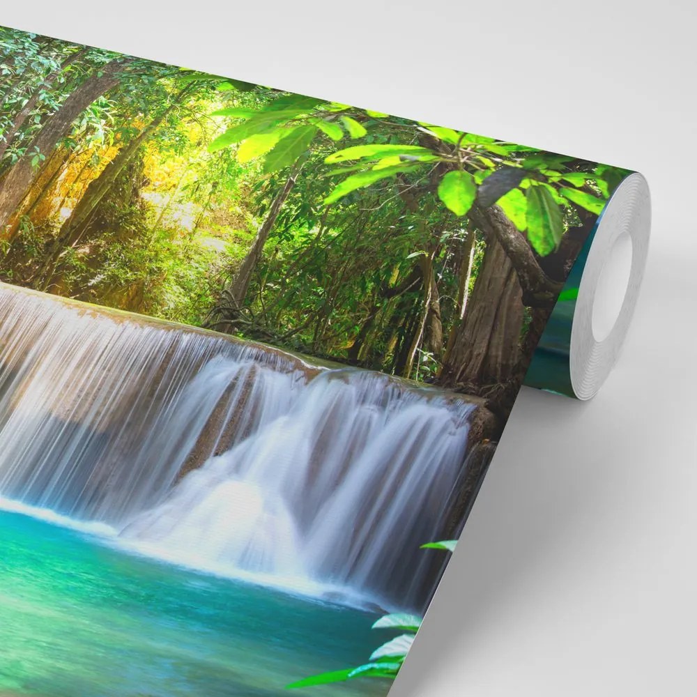 Fotomurale – Risveglio della natura
