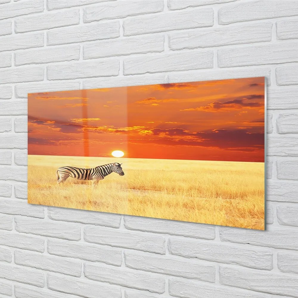 Quadro vetro Campo zebrato al tramonto 100x50 cm