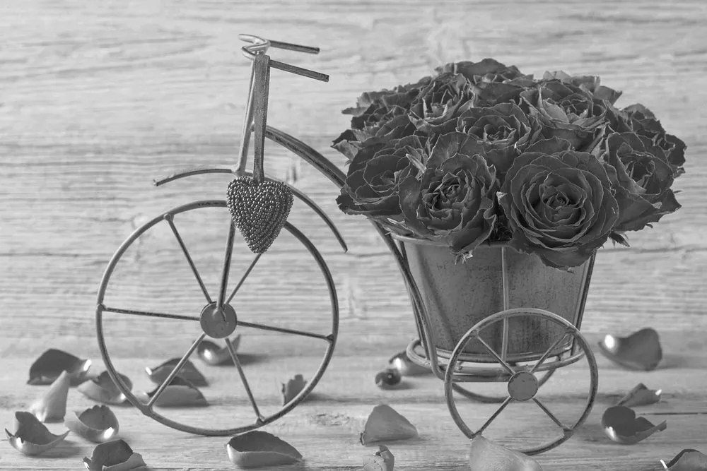 Quadro su tela – Bicicletta piena di rose in bianco e nero