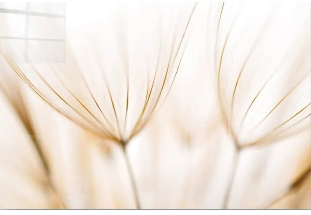 Pittura su vetro 100x70 cm Fluff - Wallity