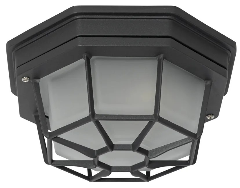 Plafoniera rustica grigio scuro 21,3 cm IP44 - Bri