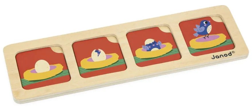Gioco educativo per bambini - Carte sequenza - Giardino