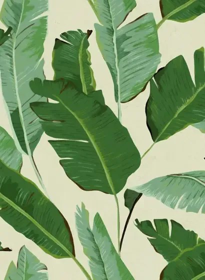 Mindthegap Carta da parati Banana Leaves - WP20111