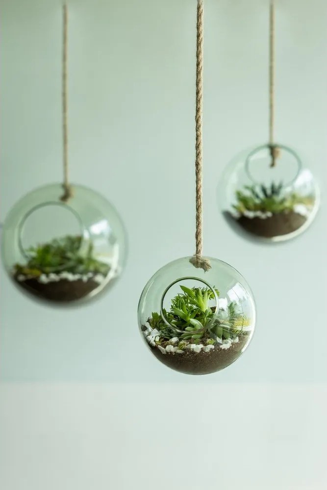 Aerario in vetro ø 15 cm - Esschert Design