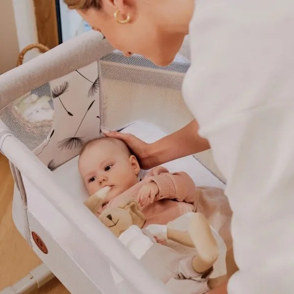 Lionelo - Culla per bambini 3in1 AURORA grigio