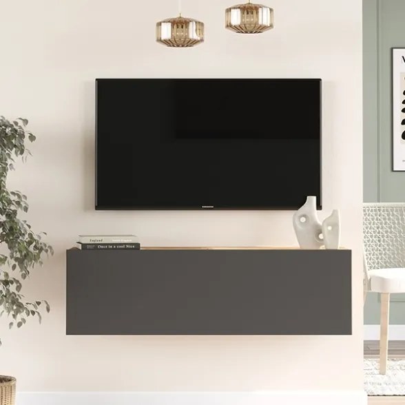 Mobile TV Sospeso 100 Cm 1 Anta Frontale Legno E Antracite Roy