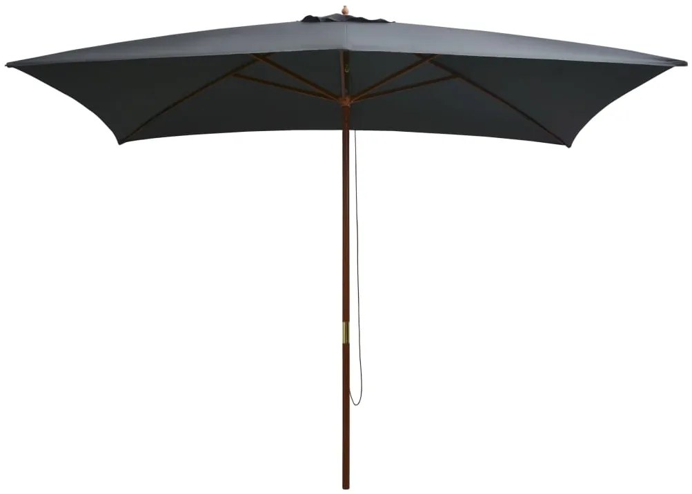 Ombrellone Da Esterni Con Palo İn Legno 200x300 Cm Antracite /