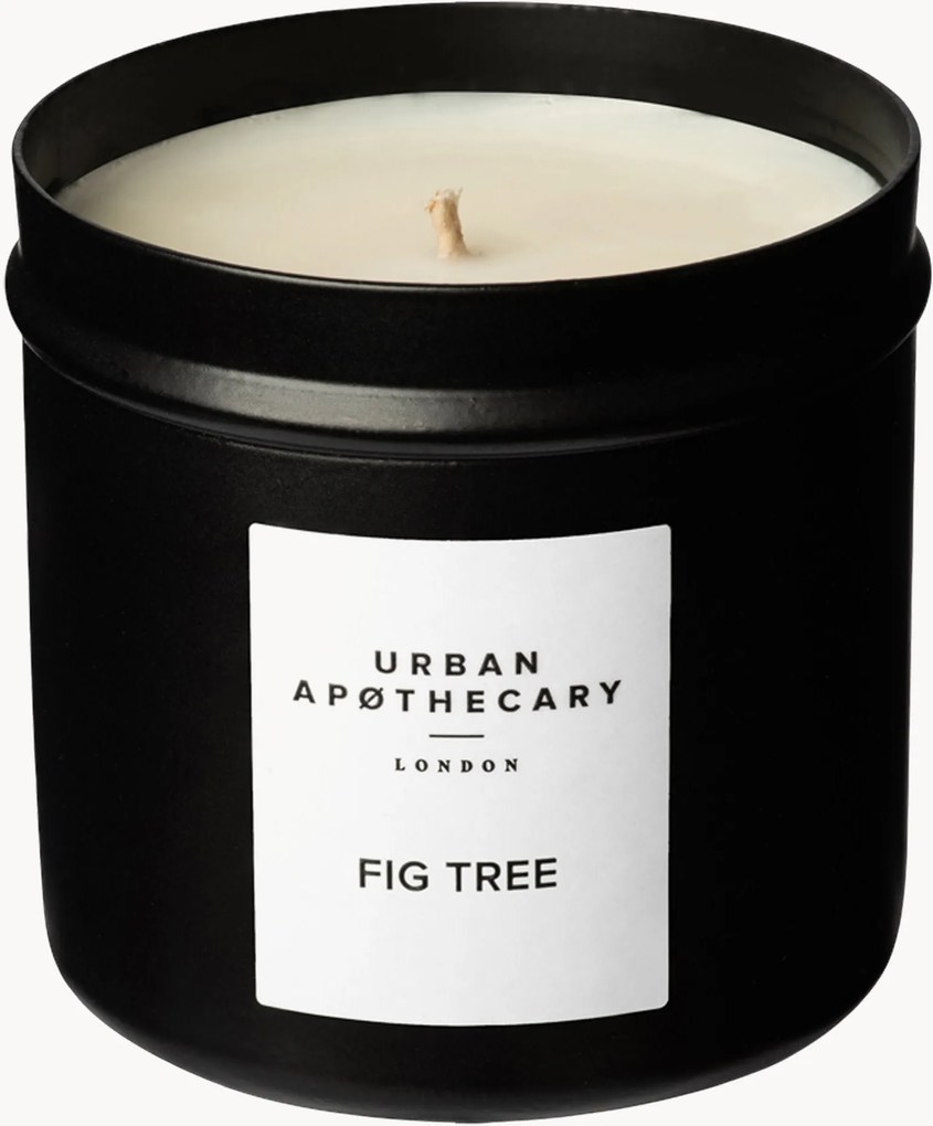 Candela profumata colata a mano Fig Tree (Foglia di fico, Cocco, Cedro)