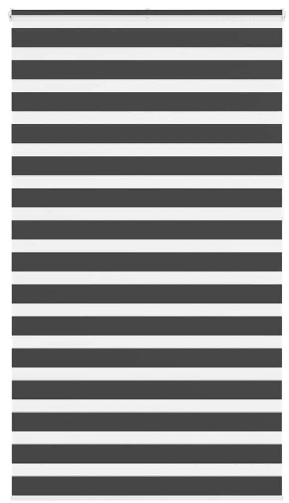 Tenda A Rullo Zebra Nero Larghezza Tessuto 115,9 Cm Poliestere /