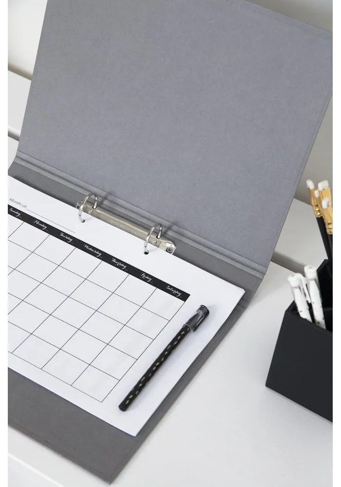 Organizzatore di cartone Ringo - Bigso Box of Sweden