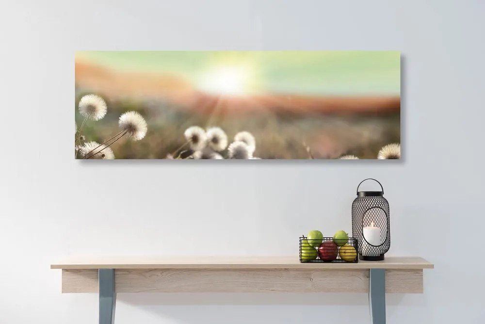 Quadro su tela – Panorama di prato fiorito