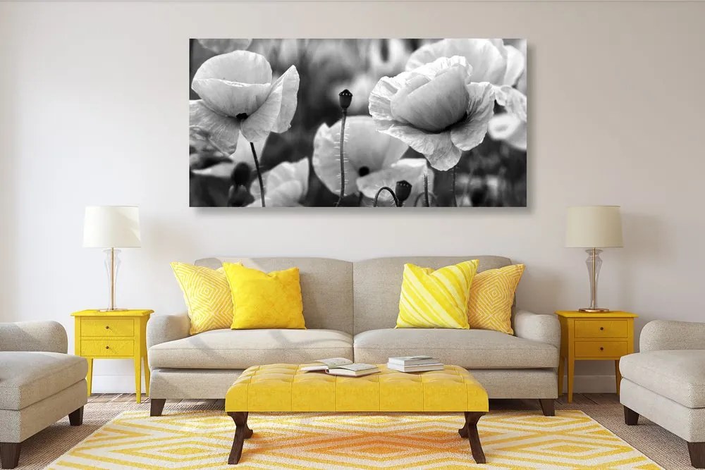 Quadro su tela – Splendido campo di papaveri in bianco e nero