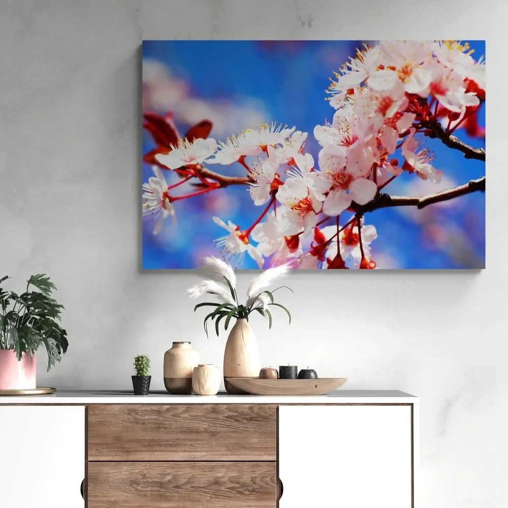 Quadro su tela – Fiore di ciliegio