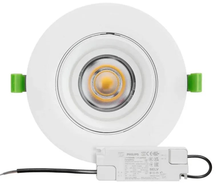 Faro LED da Incasso 44W, Foro Ø160mm con driver Philips- Per Carni Colore Rosa Alimentare