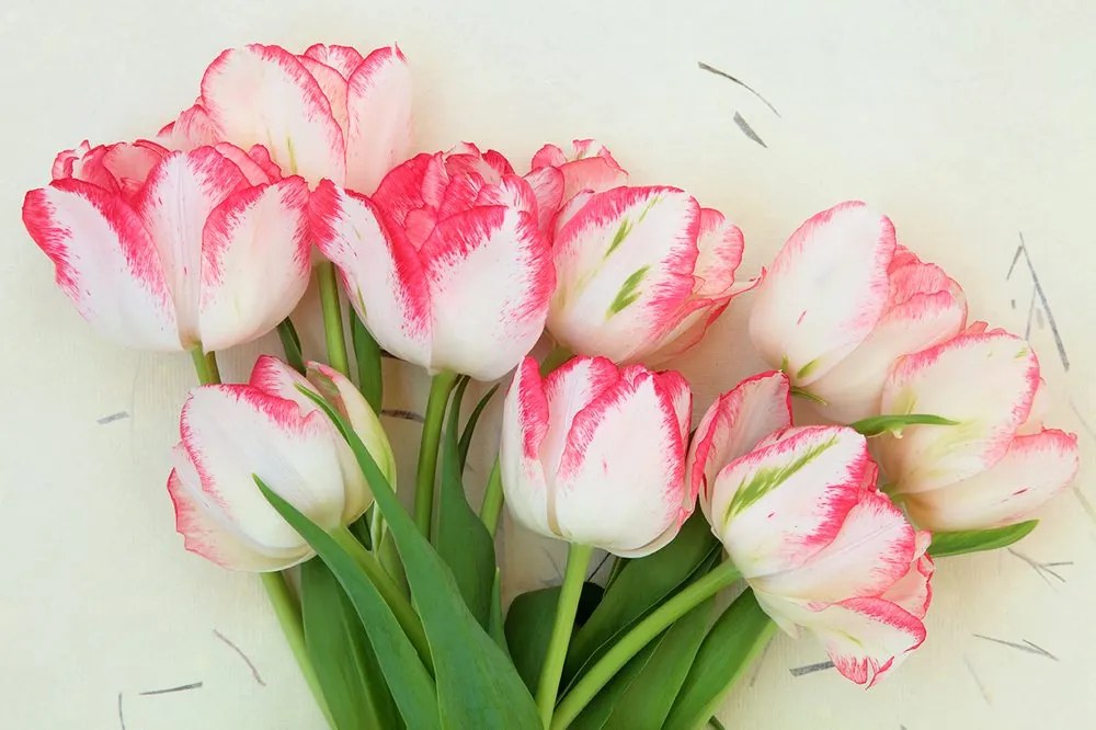Carta da parati – Tulipani primaverili
