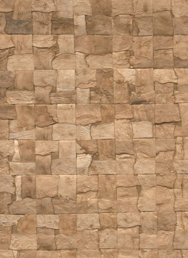 Arte Carta da parati Alba - Bark