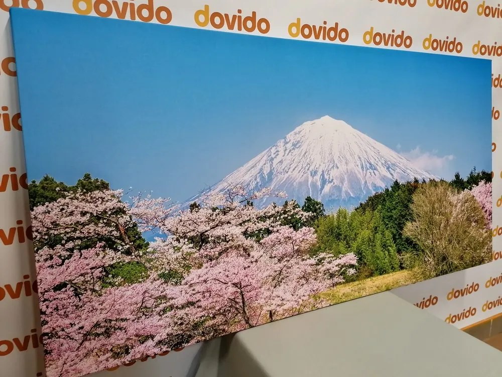 Quadro su tela – Monte Fuji