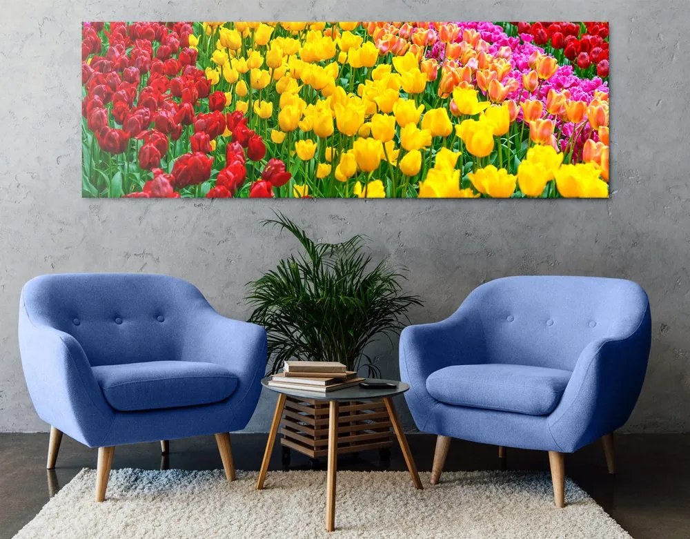 Stampa su tela – Giardino pieno di tulipani