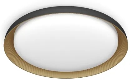 Philips - Plafoniera LED dimmerabile PEBBLO LED/10W/230V 2700K nero