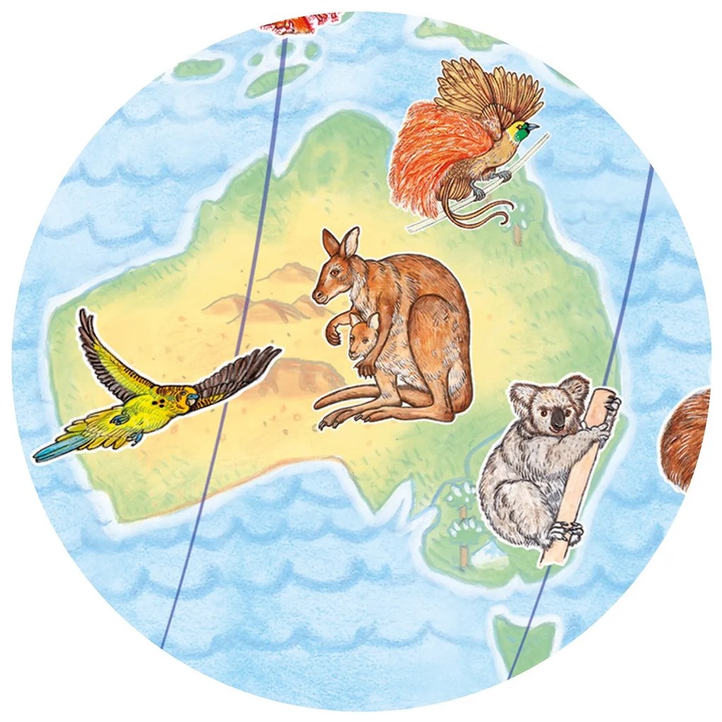 Un puzzle e un gioco di osservazione - animali del mondo - 200 pezzi