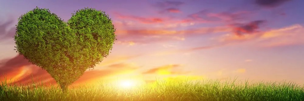 Stampa su tela – Albero a forma di cuore nel prato