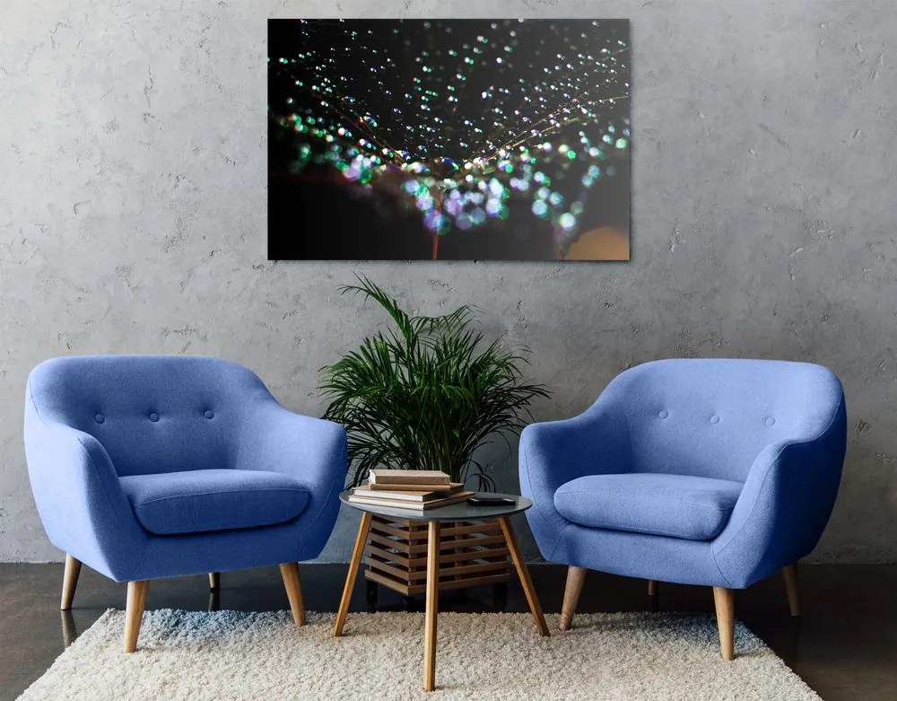 Quadro su tela – Gocce d'acqua su dente di leone