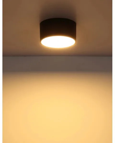 Globo 56964S - Plafoniera LED RAYMOND LED/12W/230V 3000K Ø 15 cm nera