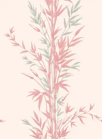 Cole & Son Carta da parati Bamboo - Pink