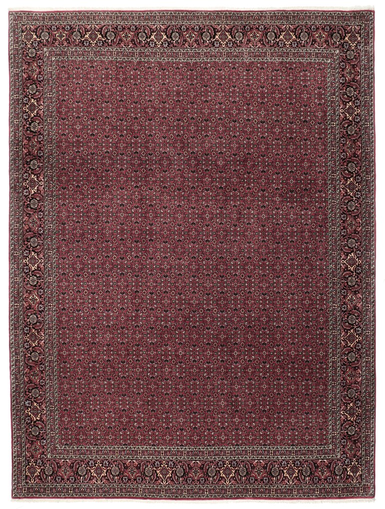 Bidjar Tappeto persiano 350 x 260 (Iran) Annodato A Mano
