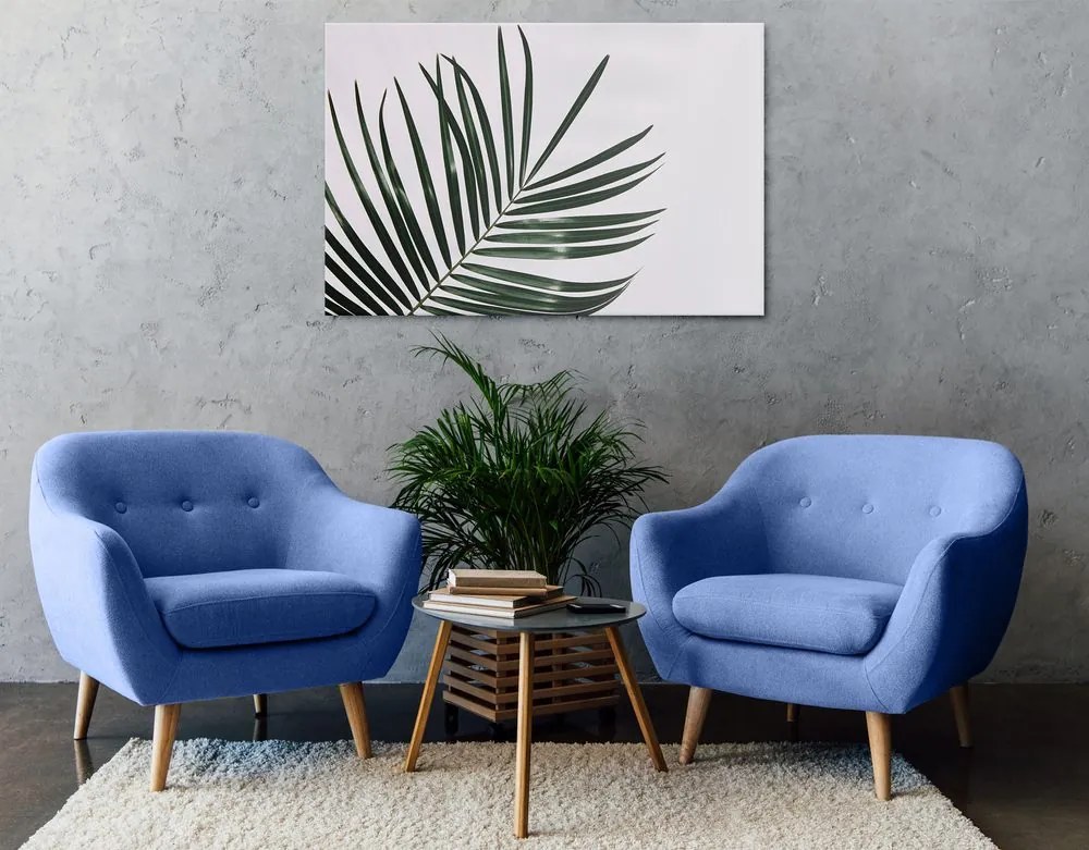 Quadro su tela – Splendido foglia di palma