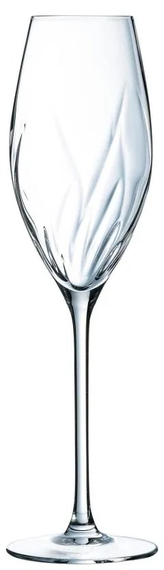 Calice Flute 24cl Swirly in Vetro Cristallino - Set 4 Pezzi -