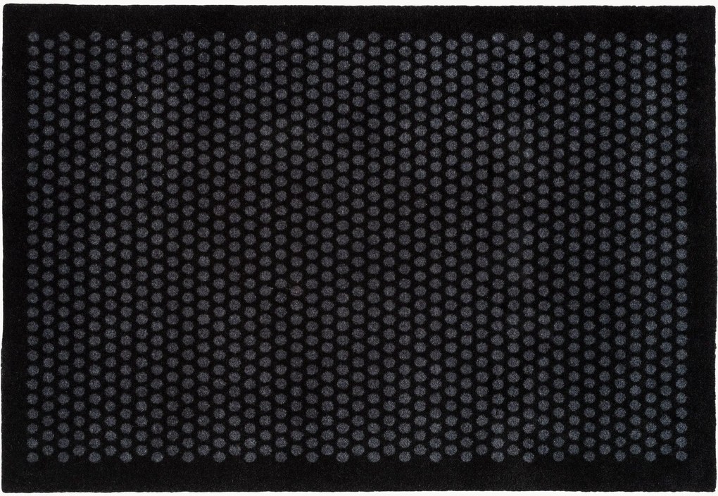 Zerbino Dot