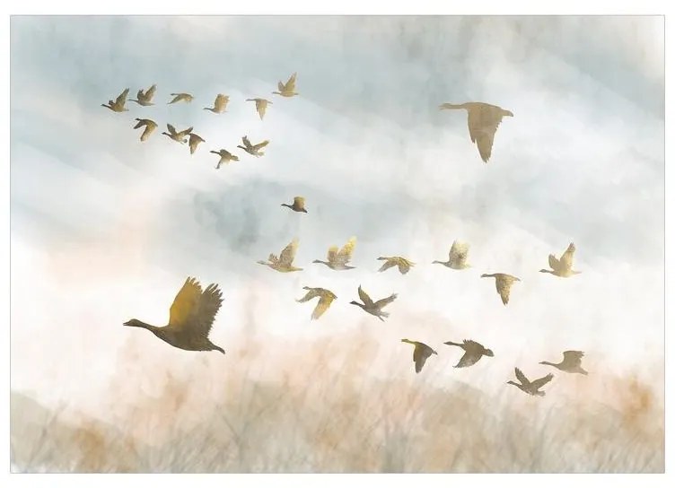 Fotomurale  Golden Geese  Larghezza x Altezza Home decor 200x140