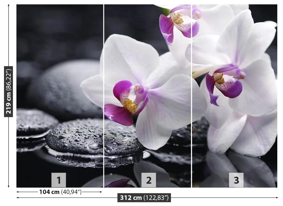 Carta da parati Orchidea 104x70 cm
