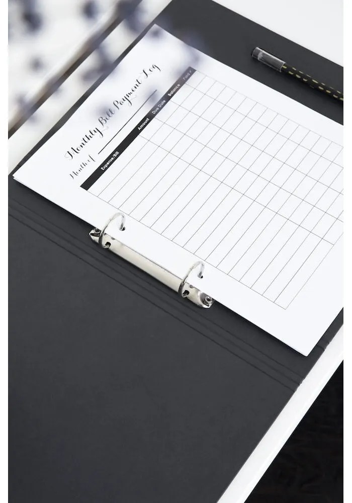 Organizzatore di cartone Ringo - Bigso Box of Sweden