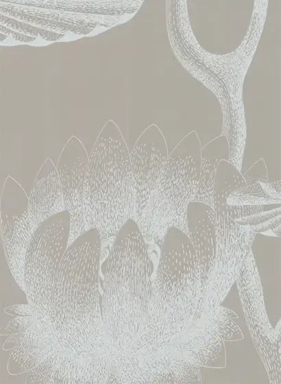Cole & Son Carta da parati Lily - kieselgrau/ weiß