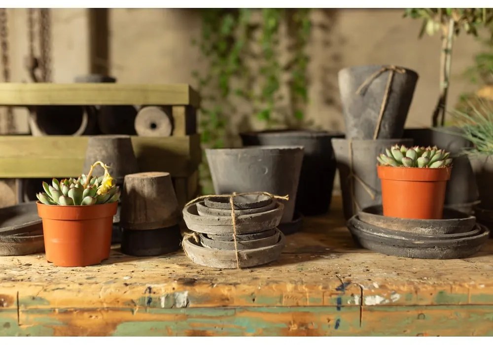 Piattini per vasi in set di 3 pezzi in terracotta ø 10 cm - Esschert Design