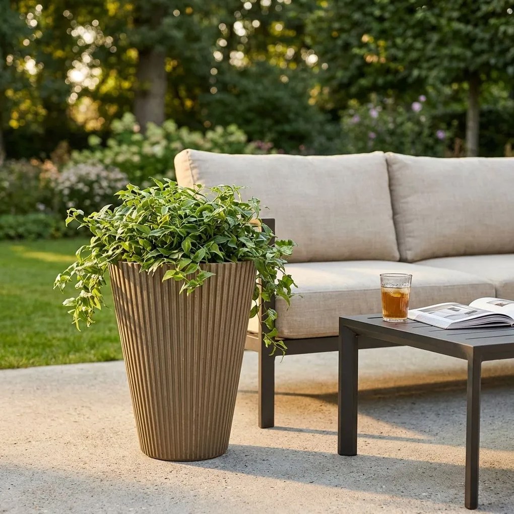 MERCEDES - vaso medio