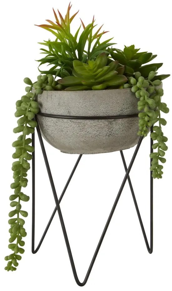 Succulenta artificiale (altezza 36 cm) Fiori - Premier Housewares